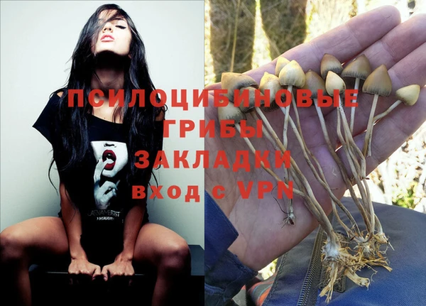 мескалин Надым