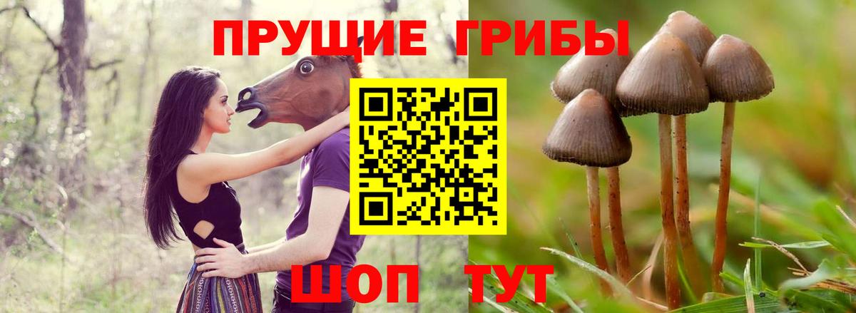 Псилоцибиновые грибы прущие грибы  Вход с VPN  Аксай 
